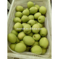 Year 2017 Shandong Pears